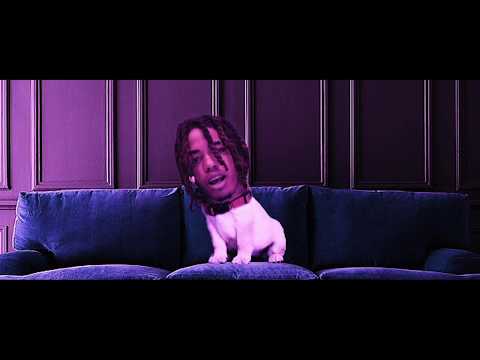 Coming Soon! XOXO"Dog" (Official Preview)