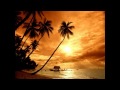Pitbull Feat. Dj Moonwish - Calle Ocho (Cha cha ...