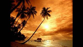 Pitbull Feat. Dj Moonwish - Calle Ocho (Cha cha cha).wmv