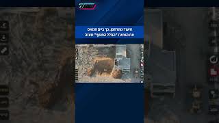 תיעוד מרחפן: כך ביים חמאס את הוצאת גופת החטוף (חדשות ערוץ 7) - התמונה מוצגת ישירות מתוך אתר האינטרנט יוטיוב. זכויות היוצרים בתמונה שייכות ליוצרה. קישור קרדיט למקור התוכן נמצא בתוך דף הסרטון תיעוד מרחפן: כך ביים חמאס את הוצאת גופת החטוף (חדשות ערוץ 7) - התמונה מוצגת ישירות מתוך אתר האינטרנט יוטיוב. זכויות היוצרים בתמונה שייכות ליוצרה. קישור קרדיט למקור התוכן נמצא בתוך דף הסרטון