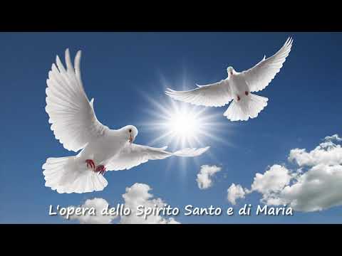 L'opera dello Spirito Santo e di Maria - p.Pablo Martin Sanguiao, 30.05.2020