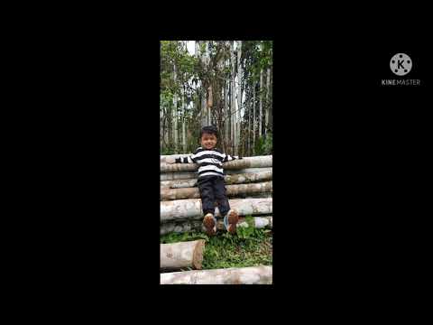 Happy Birthday Ramin