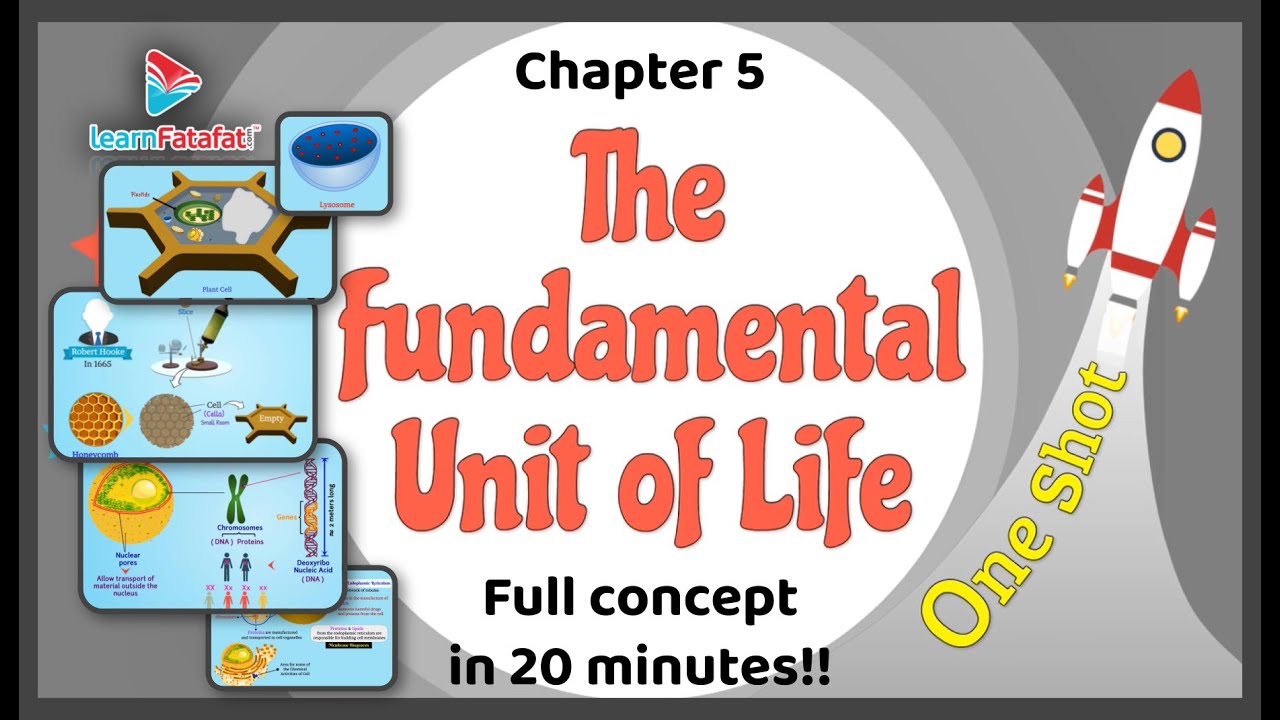 Class 9 Science The Fundamental Unit of Life OneShot Full Chapter in 20 Minutes !! - LearnFatafat
