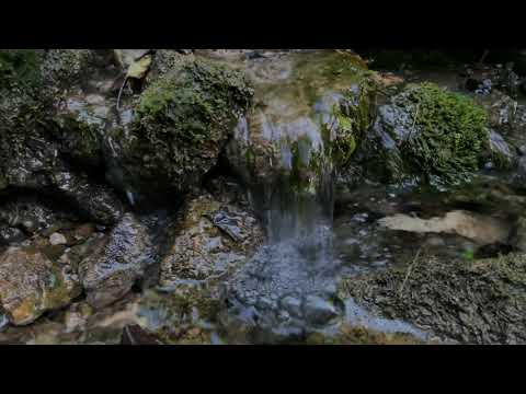 Leises Geplätscher eines Bachs | Naturgeräusche zum Entspannen und Einschlafen #asmr