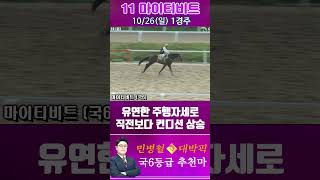 [서울 경마] 민병철 대박픽 2025년 10월 26일 일요 1R 추천마2 #경마 #하이라이트 #한국마사회 #고배당 #검빛 #코리아