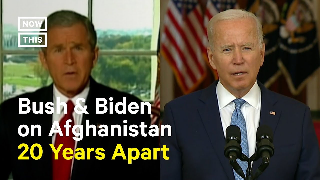 What are the 4 domains of language acquisition? Tipseri