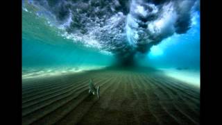 Susumu Yokota - Saku