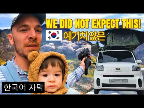 외국인 한국 캠핑카 렌트 후기 | 캐나다 가족 첫 차박 미니칸