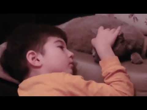 Unutuldular - Pinhani, Cover