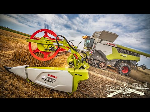 ACKERGIGANTEN IM DOPPELPACK | 2x CLAAS LEXION 8900 TT + CONVIO 1380 | HAWE ULW 4000 | MS Agrar GmbH