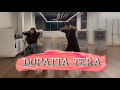 Dupatta Tera Dance Cover Easy Dance For Couple Wedding Choreography Special