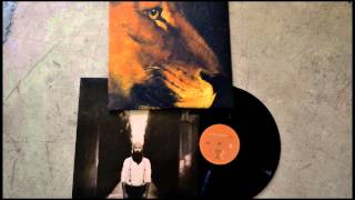 William Fitzsimmons - Lions [Vinyl Unboxing]