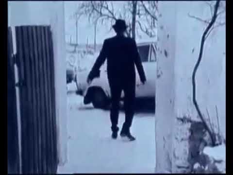 Tři čuníci - Jaromír Nohavica