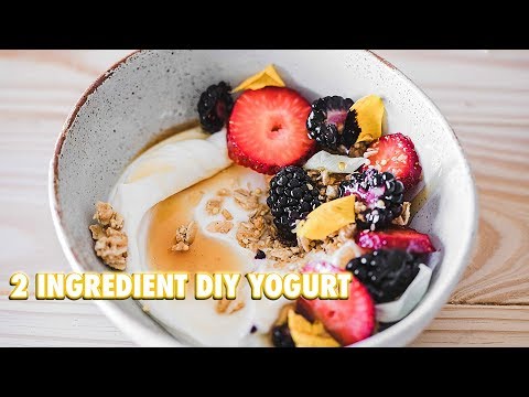 How To Make Your Own Yogurt With 2 Ingredients