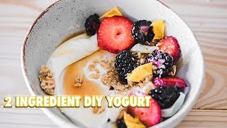 How To Make Your Own Yogurt With 2 Ingredients