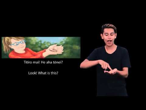How to Sign Te Reo Singalong in NZSL