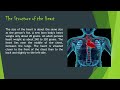 Fundamentals Of Anatomy Physiology And Kinesiology In Sports Class XI