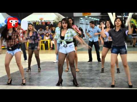 XII Festival Folclórico da UFAM