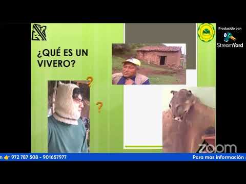 INSTALACION Y MANEJO DE VIVEROS FORESTALES