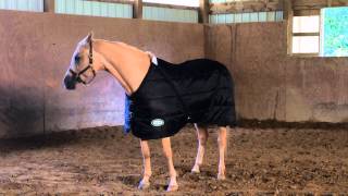 preview picture of video 'Sentinel Quilt Stable Blanket'