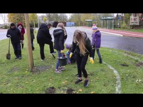 Pflanzaktion „Tulpen für Brot“ in  Hohenkirchen