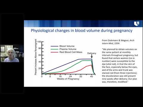 Iron Deficiency Anemia in Pregnancy