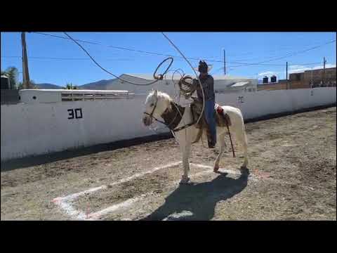 pialadero la aldea 2024