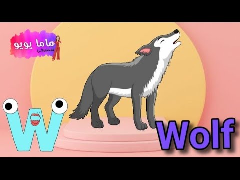 كلمات تبدا بحرف W