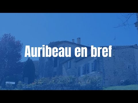 Video vignette