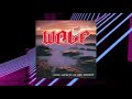 Wolf Some Aspects Of The Moment 1990 Full Album