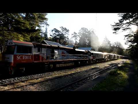 SCT Logistics 5PM9 and 6 Locos! EL62 EL60 CLF4 SCT011 SCT001 CSR006 & a rake of new flats 26/09/21