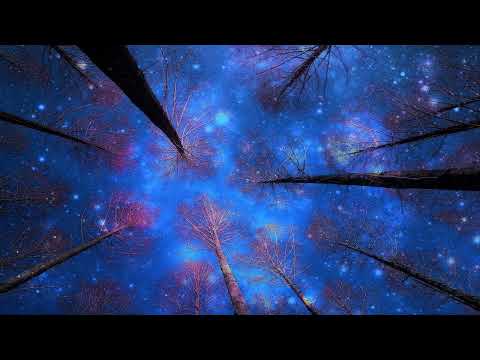 Out of Orbit - Full Set - Moksha Purim 2022