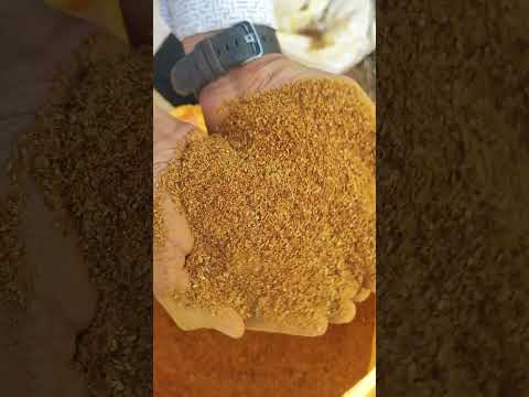 Maize Ddgs Suppliers