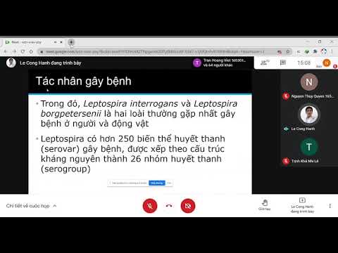 HP Truyền nhiễm_Leptospira_CTUMP