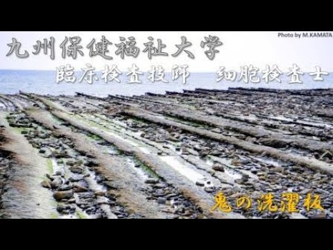 生命医科学科 ワンカット大学紹介　九州保健福祉大学　臨床検査技師 ＋ 細胞検査士