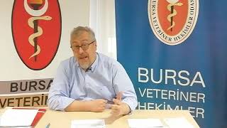 KURBAN BAYRAMI, PANDEMİ VE VETERİNER HEKİMLİK HİZMETLERİ