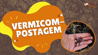 Miniatura do vídeo