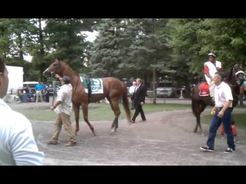 Judy The Beauty (Prioress Stakes)