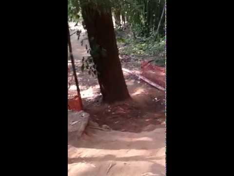 CIMTB São Roque 2014 - Última subida saindo da mata (Super Elite)