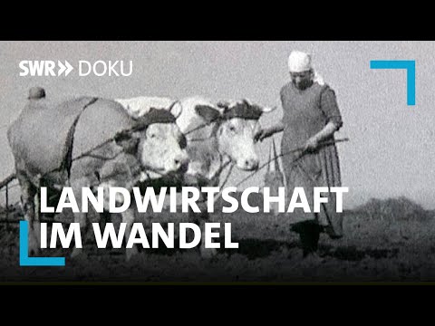 100 Jahre Landwirtschaft im Südwesten - Wie die Technik aufs Land kam | SWR Doku