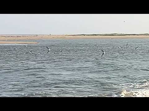 Alambarai Fort Beach visit