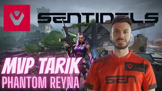 Tarik Reyna Fracture ONE TAPS