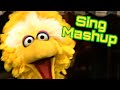 Sesame Street Sing Ultimate Mashup Sesame Street 54th Anniversary Celebration