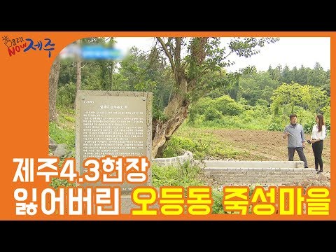 잃어버린 마을 오등동 죽정마을 클릭NOW제주