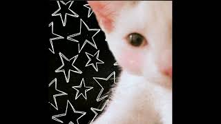 Cover art for if my pants jazz RUN