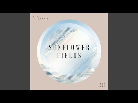 Sunflower - Noel Herrity
