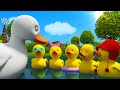 Five Little Ducks Cartoon Nursery Rhymes For Toddlers Kids Tv Nursery Rhymes For Children