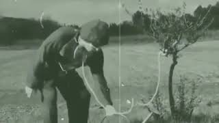 Download lagu story wa frustasi mp3