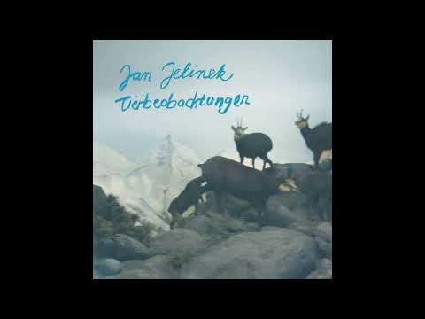 Jan Jelinek || Tierbeobachtungen (2006) Full Album