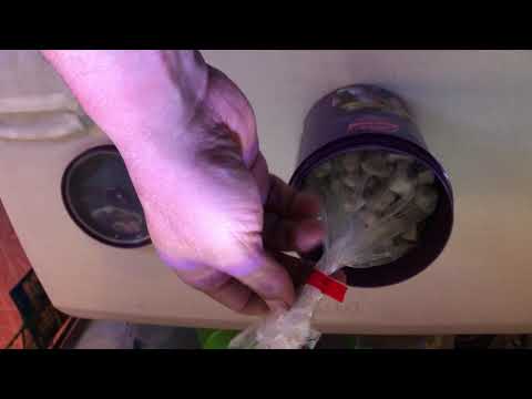 Life bio fill de aquaforest primera parte